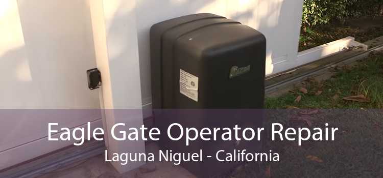 Eagle Gate Operator Repair Laguna Niguel - California