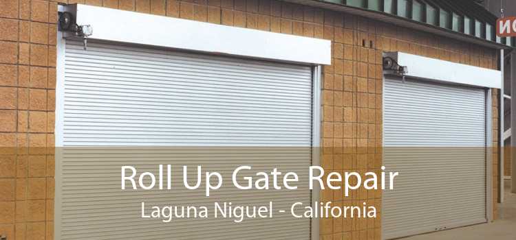 Roll Up Gate Repair Laguna Niguel - California